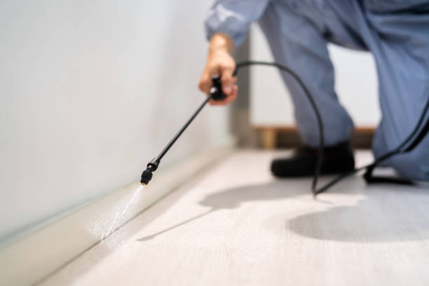 Rodent Entry Point Assessment in Cutler Bay