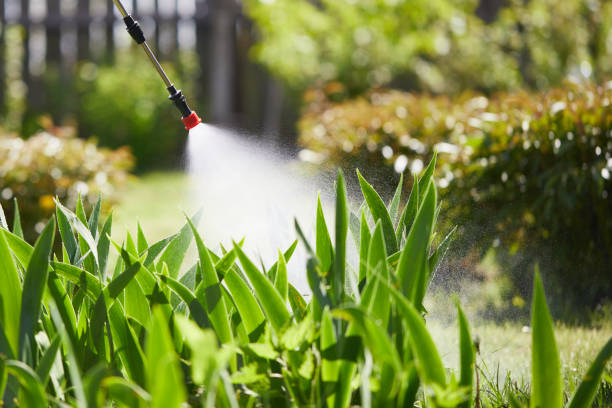 Tamper-Resistant Bait Stations for Rodents in Cutler Bay