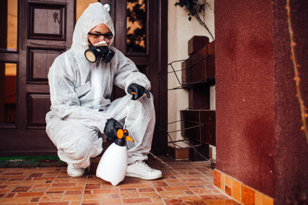 Attic and Crawl Space Rodent Treatment in Cutler Bay